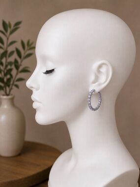 NWT - $39.50 - Light Purple and Silver-Tone Elegant Hoop Earrings